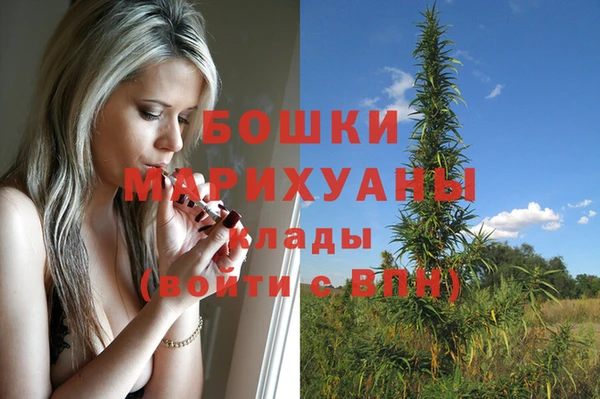 первитин Козельск
