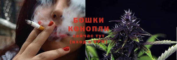 mdpv Козловка