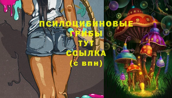 первитин Козельск