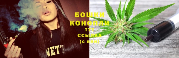 mdpv Козловка